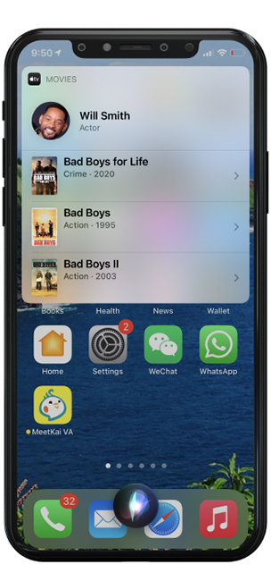 Siri Result Image